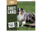 Calendrier chien 2025 - Shetland - Martin