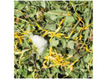 JR FARM, Pissenlit - 100g