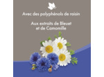 Lotion nettoyante yeux pour chien et chat -BEAPHAR