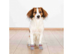 Chaussettes pour chien x2 - 4 tailles