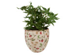 Pot de fleurs Fraises céramique 18x18x18cm