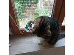 Jouet pour Chats - Cordon Plumes