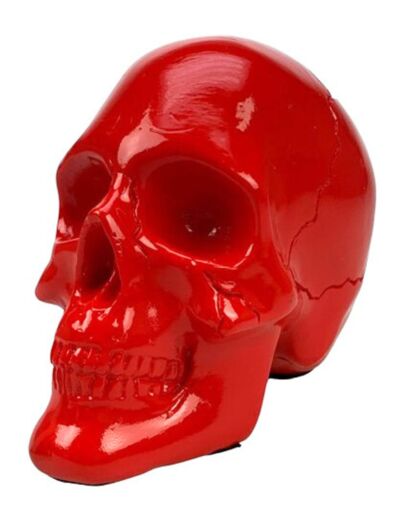 Crâne Rouge ICD Collections - Cabinet de curiosité