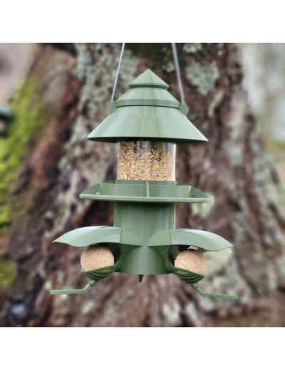 Mangeoire Oiseaux Sauvage Céleste + (Copie)