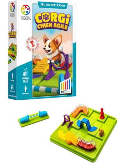 Corgi Chien Agile