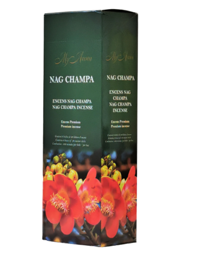 6 étuis Hexagonaux de 20 bâtons d'Encens - NAG CHAMPA