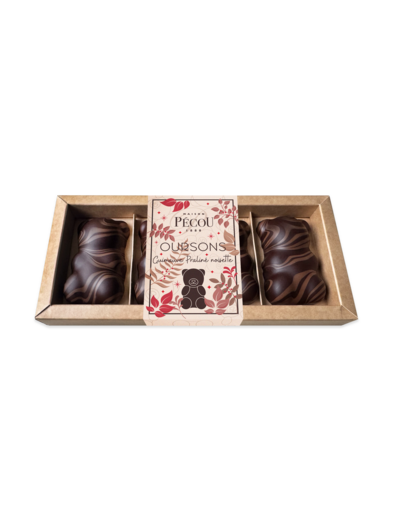Ourson Guimauve Praliné Chocolat Noir 70%