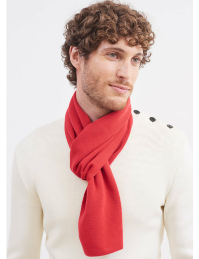 Le Toutoupull SAINT JAMES  pull pour chien