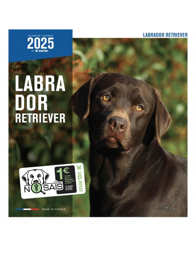 Calendrier chien 2025 - Labrador - Martin