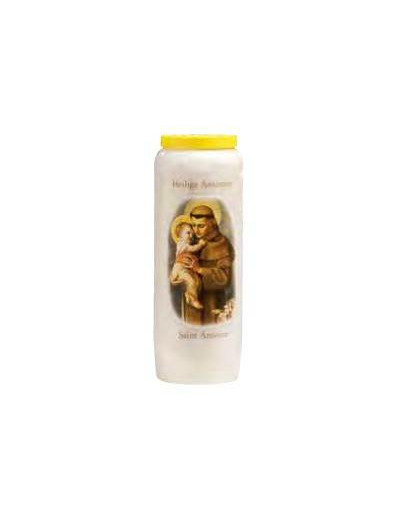 Neuvaine 100% Végétale Saint Antoine avec Prière