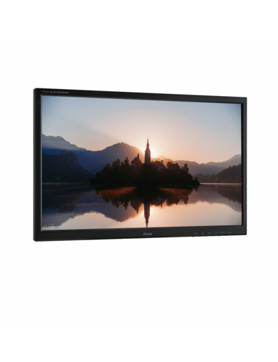 IIYAMA PROLITE E2283HS - ECRAN LCD 22" - Sans pied