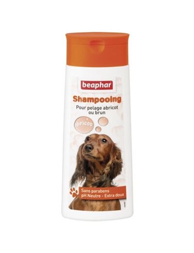 Shampooing pour pelage abricot ou brun - 250ml