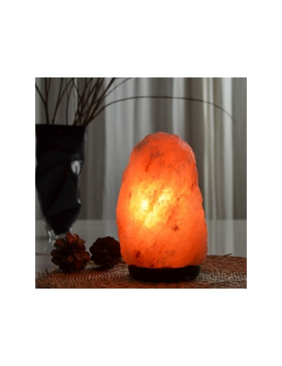 Lampe en Cristal de Sel d'Himalaya de 2 à 3 kg