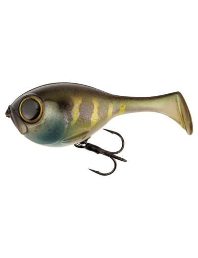 deraball etto noike gill illex