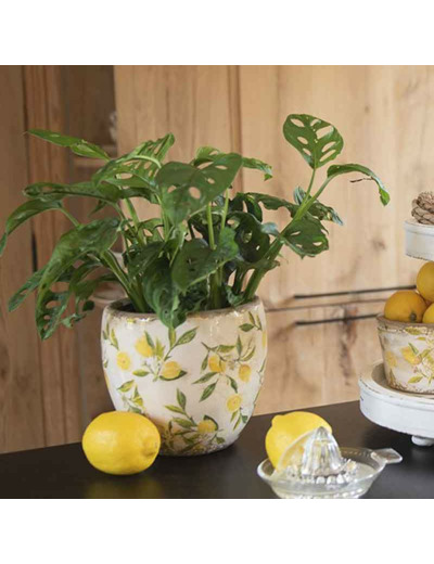 Pot de fleurs Lemon jaune céramique 13x13x12cm