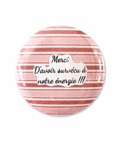 Merci d'avoir survécu à notre énergie-Magnet drôle pour enseignant