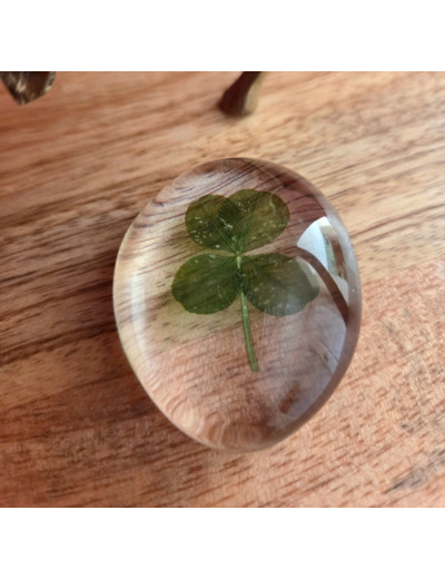 Galet de trèfle à 4 feuilles