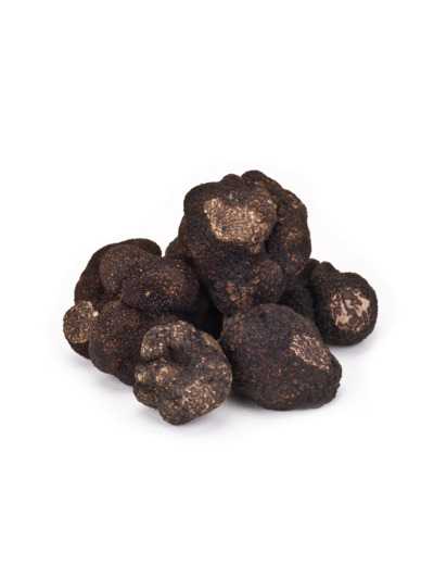 Truffes TUBER MELANOSPORUM Entière