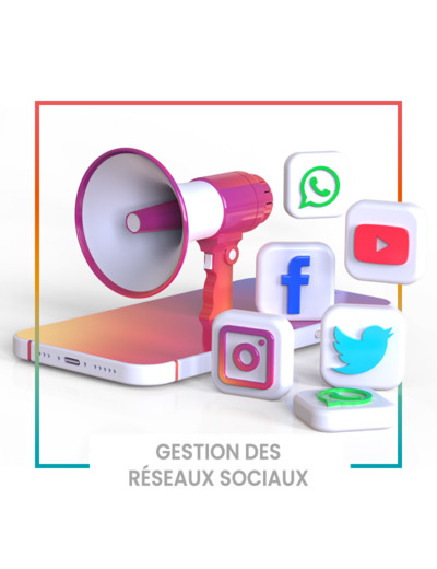 Gestion des réseaux sociaux - 12 mois