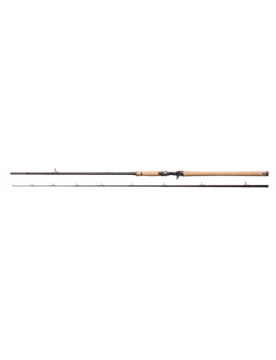 canne cast  sg6 monster 2.59m