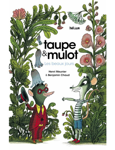 TAUPE & MULOT - TAUPE ET MULOT 1 - LES BEAUX JOURS - ILLUSTRATIONS, COULEUR