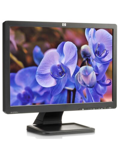 HP LE1901W - LCD 19 - Ecran