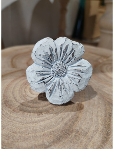 Bouton Forget-me-not Blanc