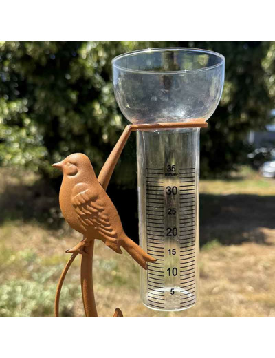 Pluviomètre oiseaux fer 18x6x100cm
