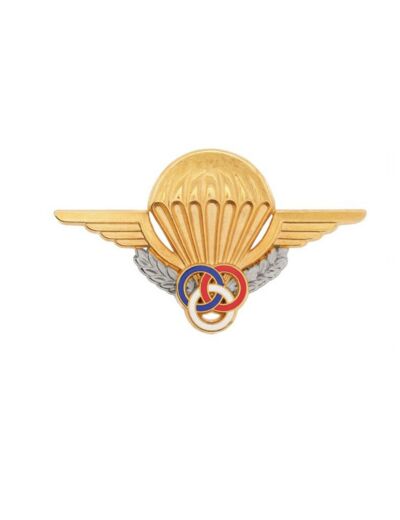 Brevet moniteur parachutiste militaire G1186