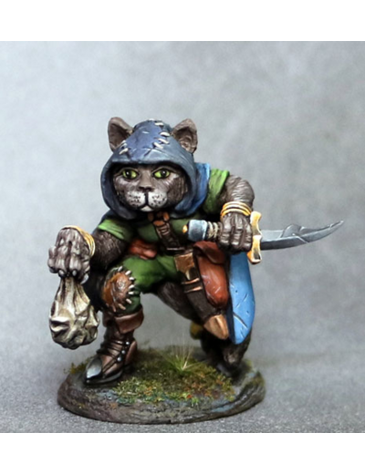 Fantasy : Asha, Cat Rogue