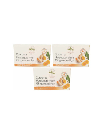 Curcuma Harpagophytum gingembre fort modèle cure de 3 x 60 comprimés