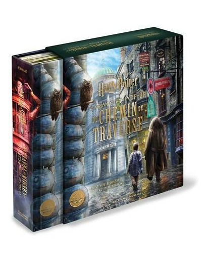 Le grand livre pop-up du Chemin de Traverse