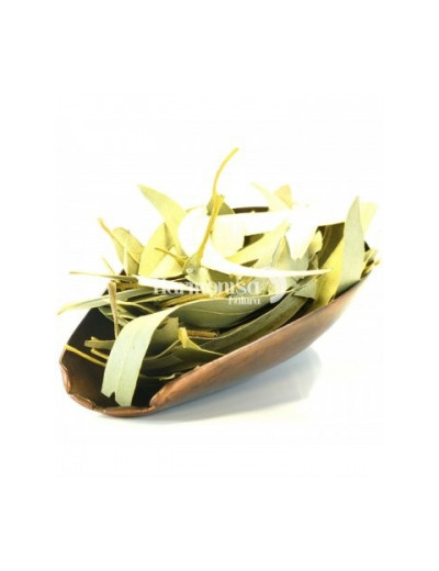 Eucalyptus feuilles entières Bio 100gr