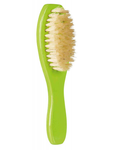 Brosse en bois pour rongeurs - 8 x 18cm