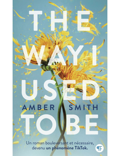 THE WAY I USED TO BE