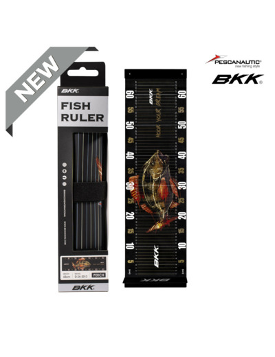 toise fish ruler perch BKK