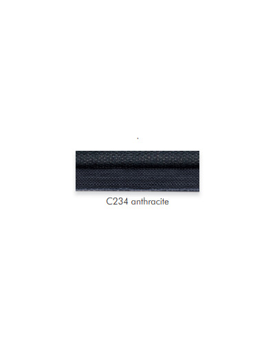 42028 Simple passepoil anthracite C234 11mm le mètre