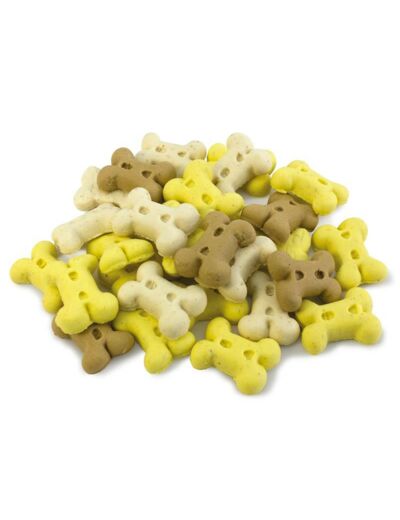 Mini os vanille pour chien - 200g