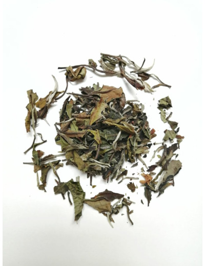 Thé blanc Pai Mu Tan BIO