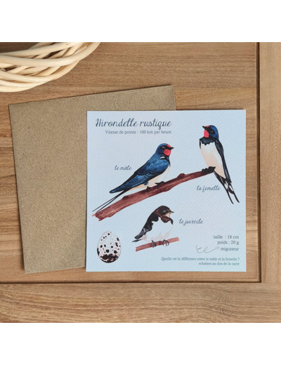 Carte Hirondelles