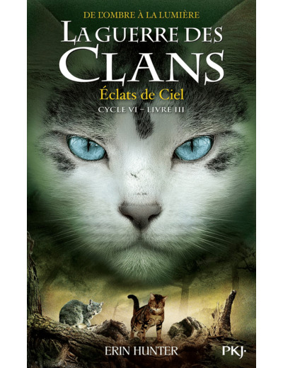 LA GUERRE DES CLANS, CYCLE VI - TOME 3 ECLATS DE CIEL
