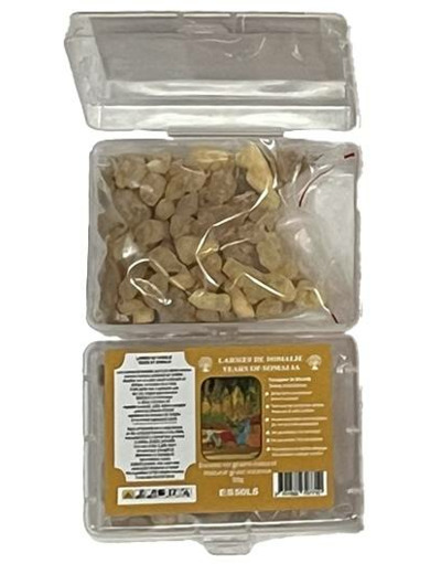 Encens en Grains Larmes de Somalie - Boite transparente de 50gr
