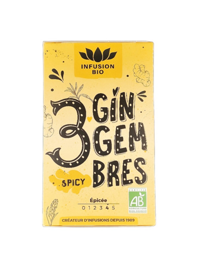 Tisane 3 Gingembres Epicée x16 Bio