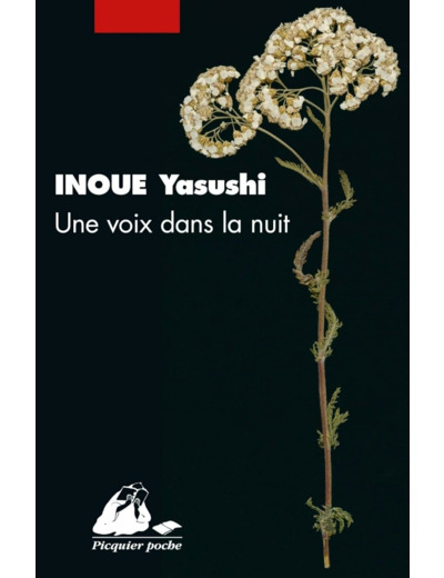UNE VOIX DANS LA NUIT
