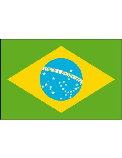 Drapeau Brésil (150*90 cm)