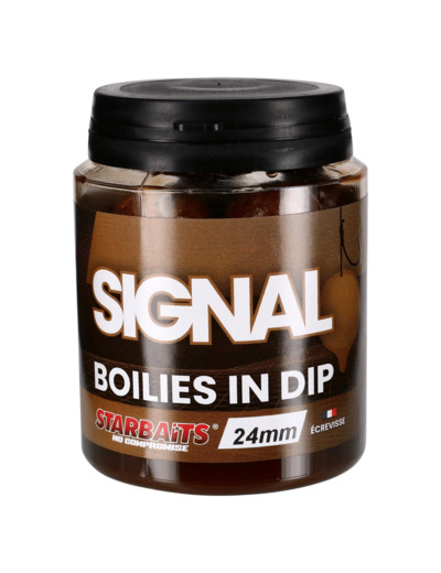 dip boilie signal starbaits