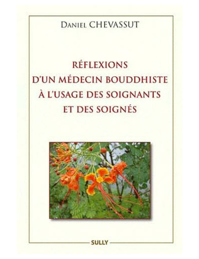 Réflexions d'un médecin bouddhiste à l'usage des soignants et des soignés