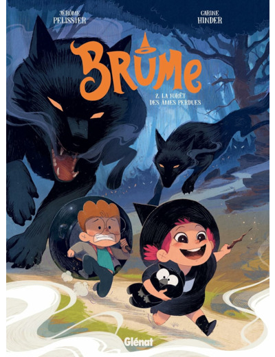 BRUME - TOME 02 - LA FORET DES AMES PERDUES