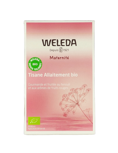 Tisane Allaitement Fruits Rouges x20 Bio