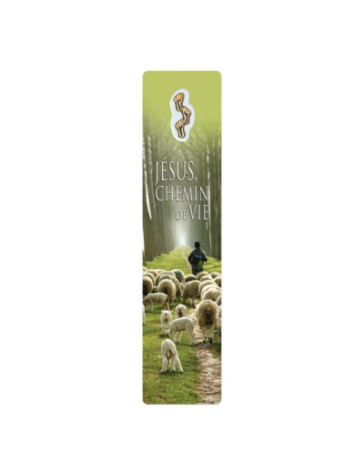 Signet plastifié avec médaille sous sachet-JESUS CHEM. DE VIE-anglais